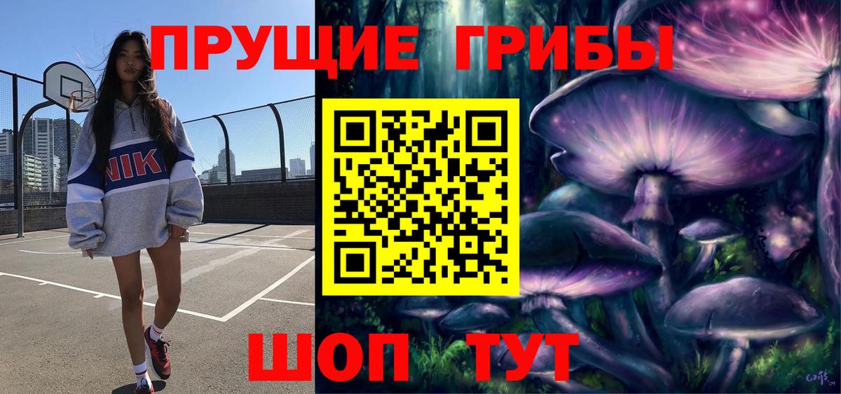 Галлюциногенные грибы Cubensis Шахты