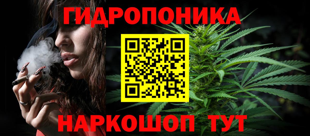 Конопля конопля Шахты